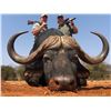 Image 1 : AFRICA MAXIMUM SAFARIS: 8-Hunting Days for Two Hunters for One Cape Buffalo and One Blue Wildebeest 