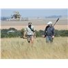 Image 2 : AFRICA MAXIMUM SAFARIS: 8-Hunting Days for Two Hunters for One Cape Buffalo and One Blue Wildebeest 