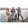 Image 1 : ALASKA EXPEDITION LODGE: 7-Days of Guided Fishing on the famed Tsiu River for Two Anglers
