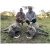 Image 1 : STEFAN JOUBERT SAFARIS: 5-Day Hunt for One Hunter and One Observer for One Jackal, Common Blesbuck, 