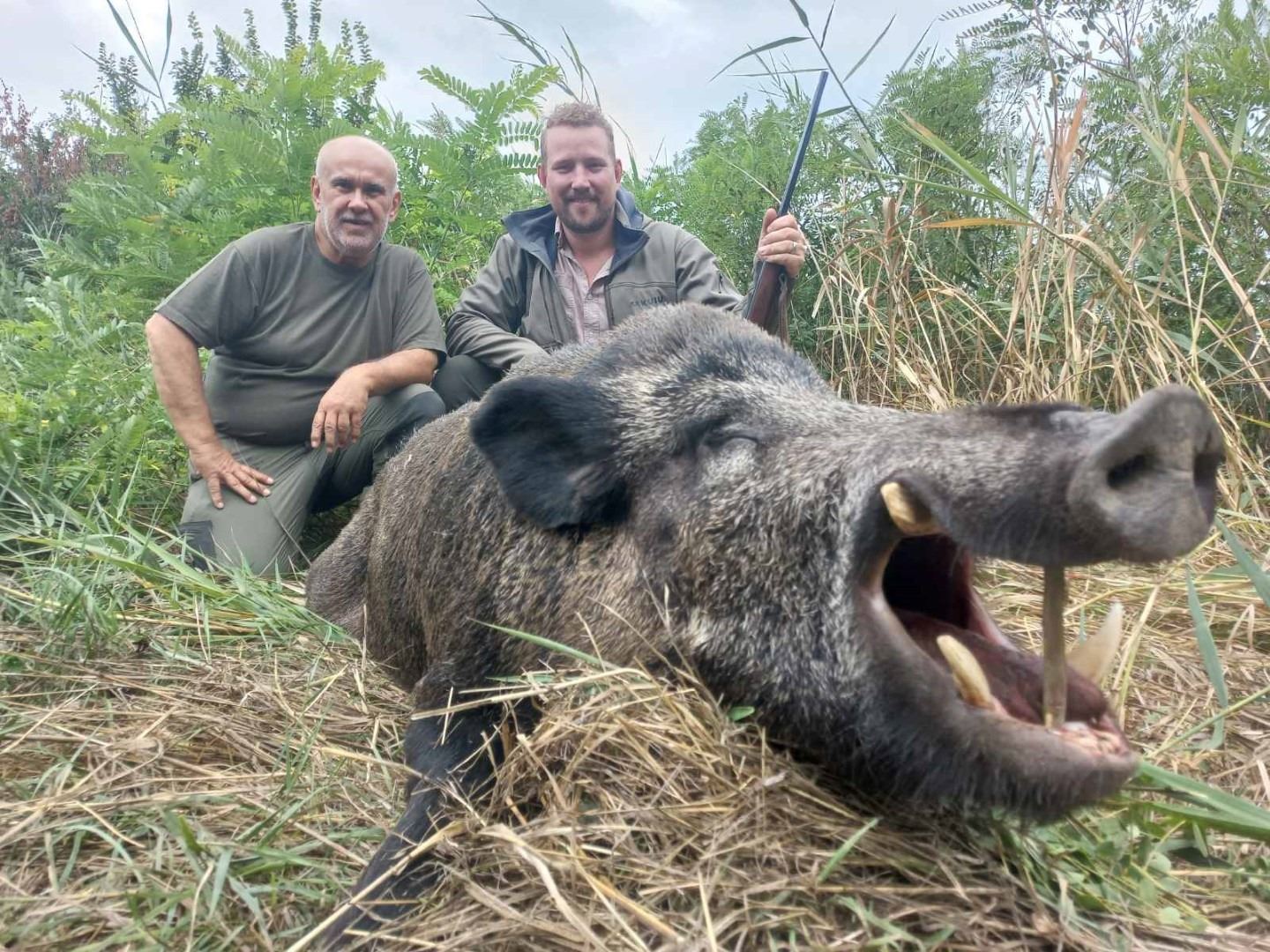 SAFARI ART: 6-Nights, 3-Hunting Days, 2-Tourism Days, Wild Boar Hunt in ...