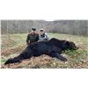 Image 1 : SAFARI ART: 6-Nights, 3-Hunting Days, 2-Tourism Days, Big Game Hunt in Croatia