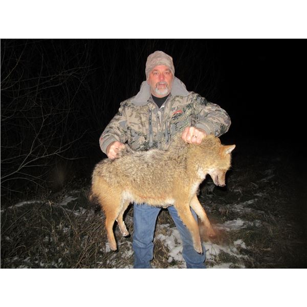 SAFARI ART: 6-Nights, 3-4 Hunting Nights, 2-Tourism Days, Small Predator Hunt in Serbia