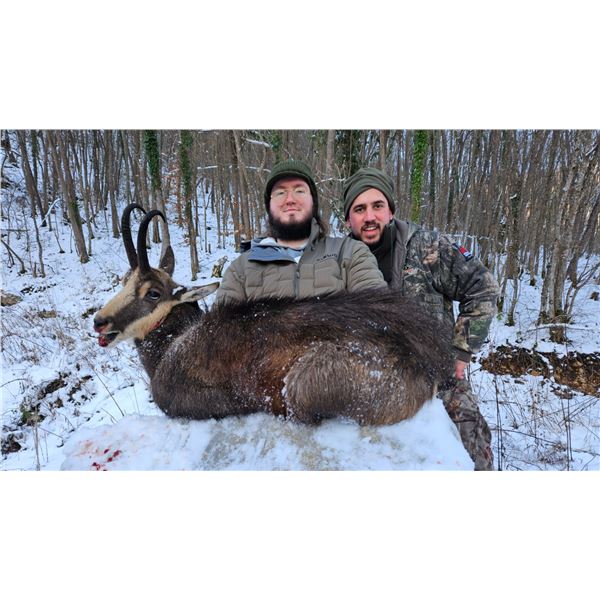 SAFARI ART: 6-Nights, 3-Hunting Days Chamois Hunt in Serbia