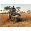 Image 1 : RDB SAFARIS: 9-Day Hunt for Two Hunters for Any Native Plains Game Species or Permitted Dangerous Ga