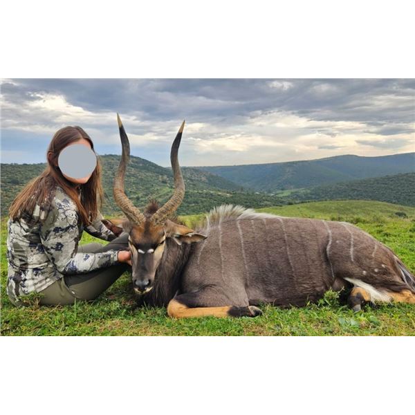 WILDEST INTERNATIONAL SAFARIS: 7-Day South African Safari for Three Hunters in Pursuit of Springbuck