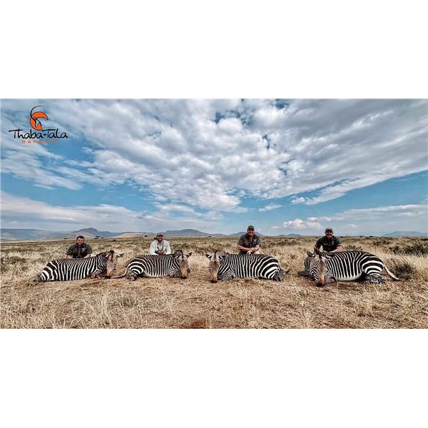 THABA-TALA SAFARIS: 10-Day South African Safari for One Hunter for a Blue Wildebeest, Impala and War