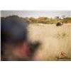 Image 2 : THABA-TALA SAFARIS: 10-Day South African Safari for One Hunter for a Zebra, Impala and Warthog