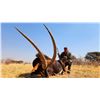 Image 1 : LEX STRAUSS HUNTING SAFARIS: 7-day South African Big Game Safari for 2 Hunters offers the rare oppor