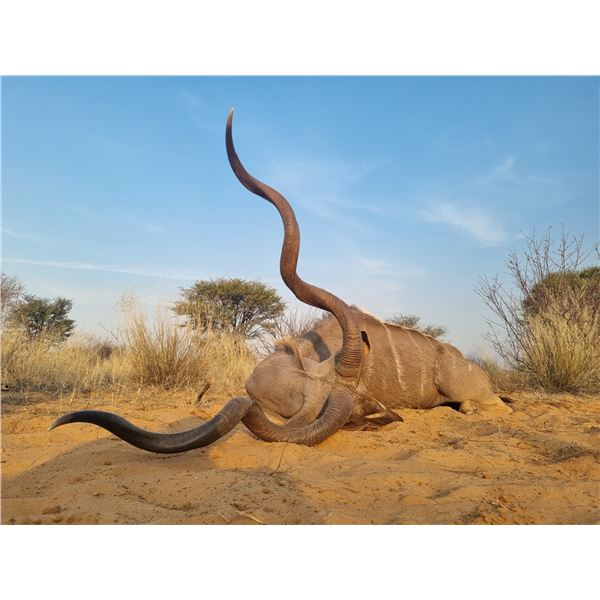 HTK SAFARIS: Two Hunters can enjoy 8 nights in the Kalahari with an open list  to more than 20 of th