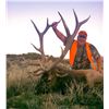 Image 1 : 2026 Utah Mt Dutton Bull Elk Conservation Permit - Hunter's Choice of Season/Weapon