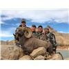 Image 1 : 2026 Utah Book Cliffs, South Rocky Mountain Bighorn Sheep Conservation Permit, Any Legal Weapon