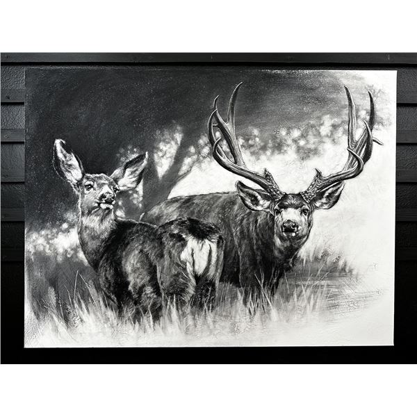 Mule Deer Foundation 2026 of the Year Package