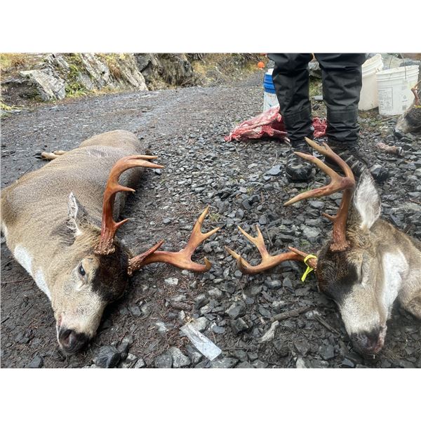 2026 5 Days 6 Nights DIY Sitka Blacktail, Guided Sea Duck Hunt for (4) Hunters