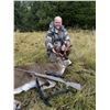 Image 2 : 2026 5 Days 6 Nights DIY Sitka Blacktail, Guided Sea Duck Hunt for (4) Hunters