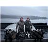 Image 3 : 2026 5 Days 6 Nights DIY Sitka Blacktail, Guided Sea Duck Hunt for (4) Hunters