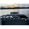 Image 6 : 2026 5 Days 6 Nights DIY Sitka Blacktail, Guided Sea Duck Hunt for (4) Hunters