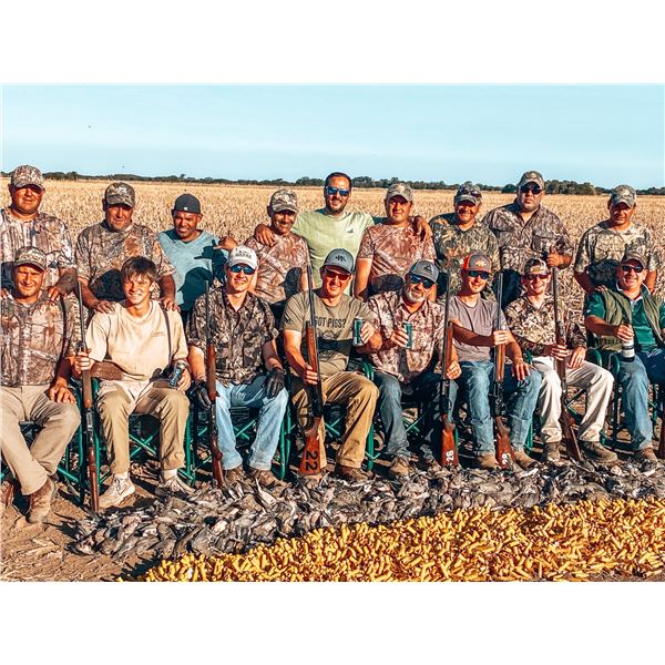 3-Day Argentina Dove Hunt for Four (4) hunters