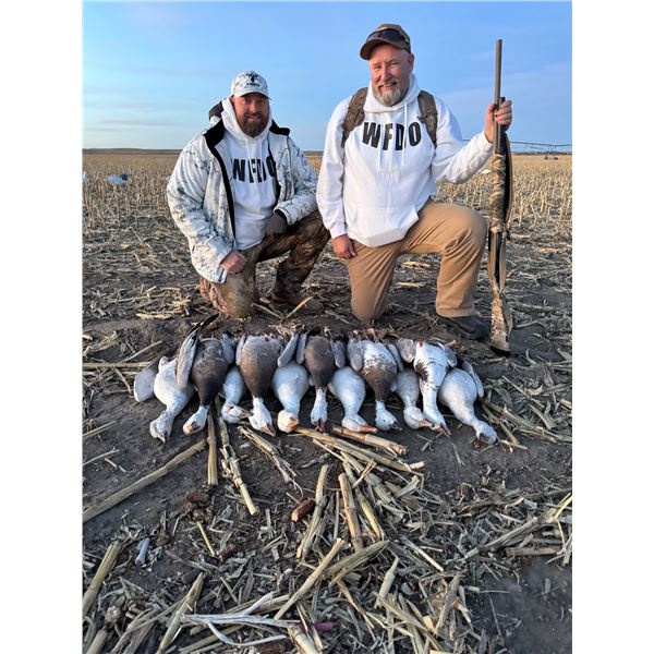2-Day Colorado Spring Snow Goose Hunt for Four (4) Hunters
