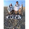 Image 1 : 2-Day Colorado Spring Snow Goose Hunt for Four (4) Hunters