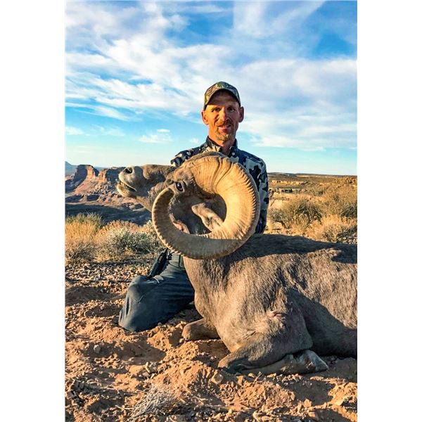 2026 Utah Escalante East and West Desert Bighorn Sheep