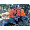 Image 3 : 2026 Utah Buck Deer San Juan, Elk Ridge Conservation Permit, Hunter’s Choice of Season/Weap