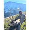 Image 2 : 8-Day 2026 Montana Mule Deer/Elk combo Hunt for One (1) hunter