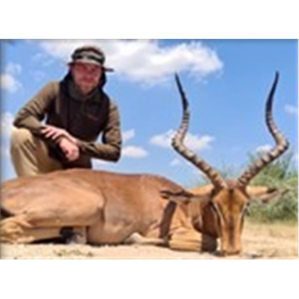 6-DAY SOUTH AFRICA HUNT FOR 4 HUNTERS