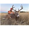 Image 2 : 2026 Wyoming Antelope/Whitetail Combo Hunt