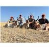 Image 4 : 2026 Wyoming Antelope/Whitetail Combo Hunt