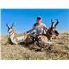 Image 8 : 2026 Wyoming Antelope/Whitetail Combo Hunt