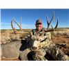 Image 1 : 2026 New Mexico Mule Deer Hunt for 2 on Private Ground