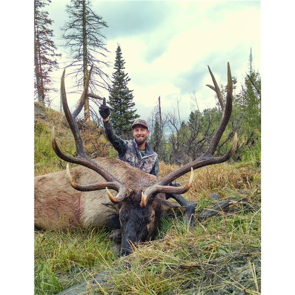 2026 Utah Bull Elk Wasatch Mountains Archery Conservation Permit