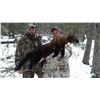 Image 3 : Canada Trapline Adventure offered by Groat Creek Outfitters