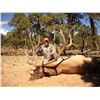 Image 1 : 2026 Utah Boulder Bull Elk Conservation Permit - Muzzleloader