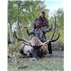 Image 2 : 2026 Utah Boulder Bull Elk Conservation Permit - Muzzleloader