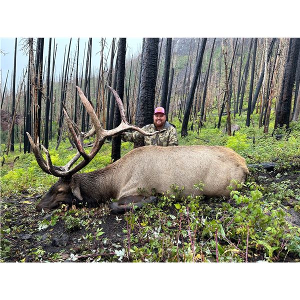 2026 Utah Panguitch Lake Bull Elk Conservation Permit - Hunter's Choice Season/Weapon