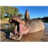 Image 1 : 5-Day Niassa Mozambique Hippo Hunt for One (1) Hunter & One (1) Non Hunter
