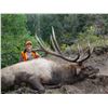 Image 1 : 2026 Utah Fillmore, Pahvant Bull Elk Landowner Permit Hunter’s Choice of Season/Weapon