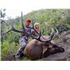 Image 2 : 2026 Utah Fillmore, Pahvant Bull Elk Landowner Permit Hunter’s Choice of Season/Weapon