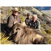 Image 2 : 5-Day Bull Tahr Hunt for Two (2) Hunter in New Zealand