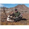 Image 1 : 2026 Alaska Western Talkeetna Mountains Caribou Hunt Permit (DC590)