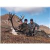 Image 4 : 2026 Alaska Western Talkeetna Mountains Caribou Hunt Permit (DC590)