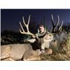 Image 1 : Sonora Mexico Mule Deer for Hunt for 2 Hunters MX Hunting Co.