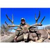 Image 3 : Sonora Mexico Mule Deer for Hunt for 2 Hunters MX Hunting Co.