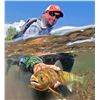 Image 4 : 3-Day Montana Fishing Trip for Two (2) anglers