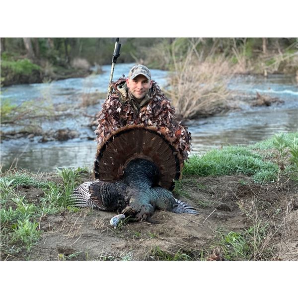 2-Day California Turkey Hunt for One (1) Hunter