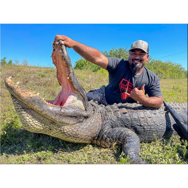 Trophy American Alligator for 2 Hunters