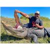 Image 1 : Trophy American Alligator for 2 Hunters