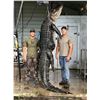 Image 2 : Trophy American Alligator for 2 Hunters